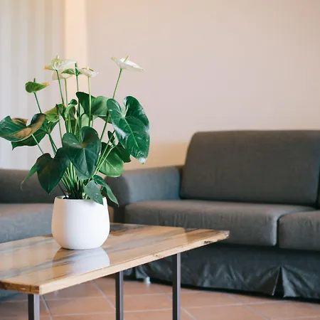 Palazzo Della Scala & 4* Лацизе